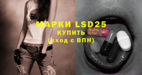 винт Нея